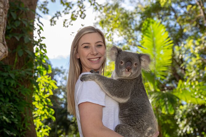 Gold Coast South QLD Gold Coast Attractions