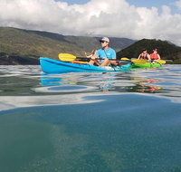 Kayak Turtle Tour from Palm Cove - Gold Coast Attractions