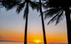 Airport Transfers Between Cairns Airport And Cairns City - thumb 3