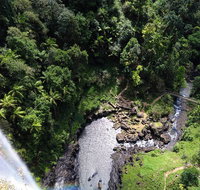 Full-day Springbrook National Park Tour from the Gold Coast - Gold Coast Attractions