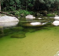 Afternoon Half-Day Daintree Rainforest and River Tour - Gold Coast Attractions