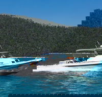 Private Standard Charter Experience in Whitsundays - Gold Coast Attractions