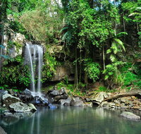 Gold Coast 4WD Eco Outback Tracks Tour - Gold Coast Attractions