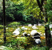Cairns Daintree Rainforest and Cape Tribulation 2-Day Tour - Gold Coast Attractions