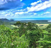 Private Daintree National Park Day Tour from Cairns Including Cape Tribulation and Mossman Gorge - Gold Coast Attractions