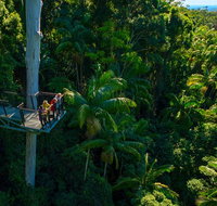The Best of Tamborine Mountain from the Gold Coast - Gold Coast Attractions