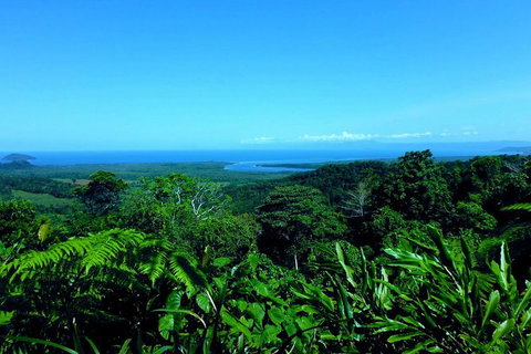 3-Day Far North Queensland: Atherton Tablelands, Cooktown, Daintree Via 4WD - Gold Coast Attractions 8