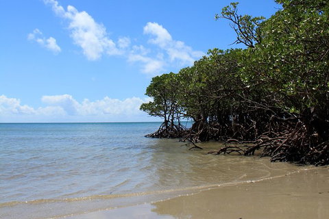 3-Day Far North Queensland: Atherton Tablelands, Cooktown, Daintree Via 4WD - Gold Coast Attractions 7