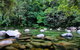 3-Day Far North Queensland: Atherton Tablelands, Cooktown, Daintree Via 4WD - thumb 9