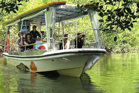 3-Day Far North Queensland: Atherton Tablelands, Cooktown, Daintree Via 4WD - Gold Coast Attractions 12