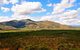 3-Day Far North Queensland: Atherton Tablelands, Cooktown, Daintree Via 4WD - thumb 14