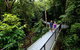 3-Day Far North Queensland: Atherton Tablelands, Cooktown, Daintree Via 4WD - thumb 5