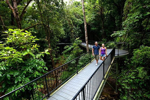 3-Day Far North Queensland: Atherton Tablelands, Cooktown, Daintree Via 4WD - Gold Coast Attractions 5