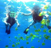 Guided Snorkel with Fish Tour at Wavebreak Island Gold Coast - Gold Coast Attractions