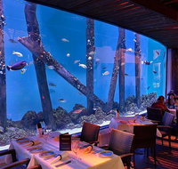 Cairns Aquarium and small group City Sightseeing Tour - Gold Coast Attractions