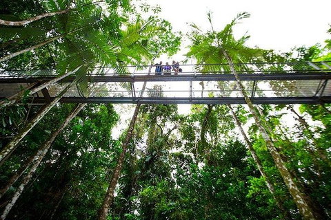 Daintree Discovery Centre Family Pass Ticket - Gold Coast Attractions 3