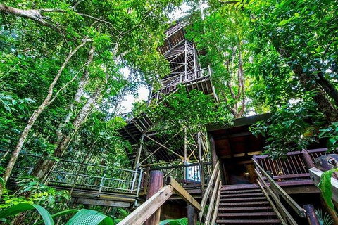 Daintree Discovery Centre Family Pass Ticket - Gold Coast Attractions 4