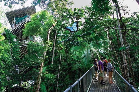 Daintree Discovery Centre Family Pass Ticket - Gold Coast Attractions 2