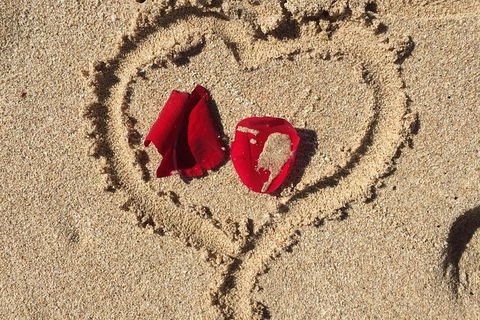 Elope In Paradise - Weddings At Mission Beach - Gold Coast Attractions 3