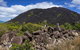 3 Day Cape Tribulation & Cooktown Tour From Cairns Or Port Douglas - thumb 10