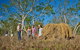 3 Day Cape Tribulation & Cooktown Tour From Cairns Or Port Douglas - thumb 14