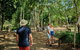 3 Day Cape Tribulation & Cooktown Tour From Cairns Or Port Douglas - thumb 13