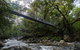 3 Day Cape Tribulation & Cooktown Tour From Cairns Or Port Douglas - thumb 3