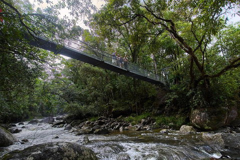 3 Day Cape Tribulation & Cooktown Tour From Cairns Or Port Douglas - Gold Coast Attractions 3