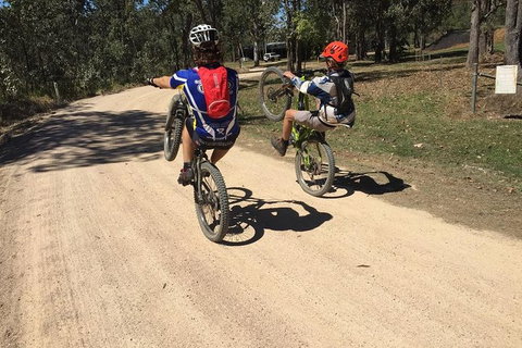 Electric Mountain Bike Tropical Tours - Gold Coast Attractions 9