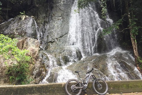 Electric Mountain Bike Tropical Tours - Gold Coast Attractions 5