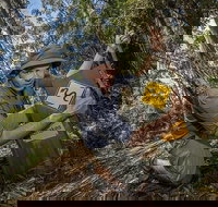 4-Day Australian Outback Tour from the Gold Coast to Sydney - Gold Coast Attractions