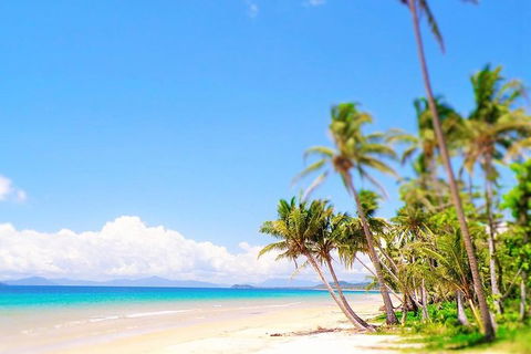 Airport Transfer - Mission Beach To Cairns Airport - Gold Coast Attractions 3