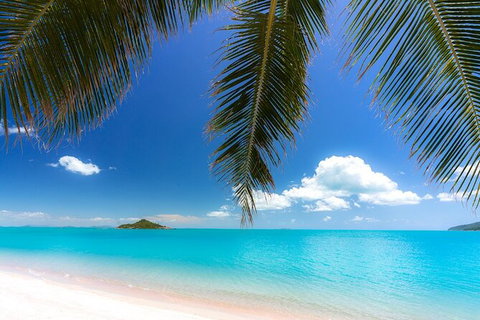 Reef, Wildlife & Rainforest - Reef & Beyond Guided Holidays - Gold Coast Attractions 4