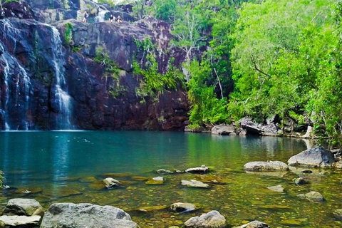 Reef, Wildlife & Rainforest - Reef & Beyond Guided Holidays - Gold Coast Attractions 0