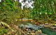Reef, Wildlife & Rainforest - Reef & Beyond Guided Holidays - thumb 3