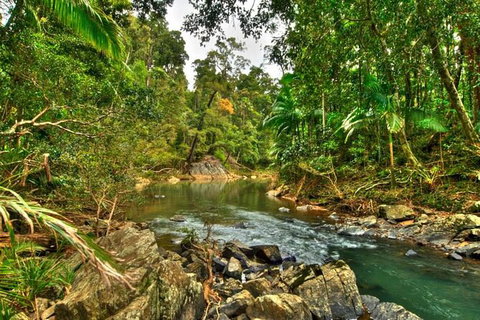 Reef, Wildlife & Rainforest - Reef & Beyond Guided Holidays - Gold Coast Attractions 3