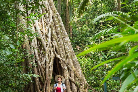 Reef, Wildlife & Rainforest - Reef & Beyond Guided Holidays - Gold Coast Attractions 2