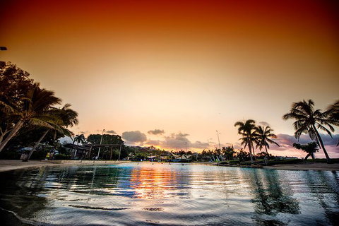 Reef, Wildlife & Rainforest - Reef & Beyond Guided Holidays - Gold Coast Attractions 6
