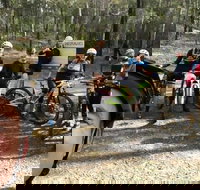 Gold Coast Mountain Bike Tour - Gold Coast Attractions