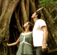 Daintree and Cape Tribulation Full Day Guided Tour - Gold Coast Attractions