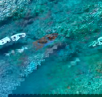 Premium Private Charter - Gold Coast Attractions