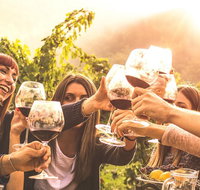 Mt Tamborine Winery Tour - Local Pickup - Gold Coast Attractions