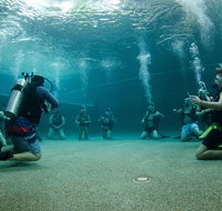 Learn To Scuba Dive 4 Day Great Barrier Reef PADI Open Water Course Day Trips - Gold Coast Attractions