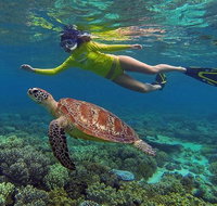 3 Day Cape Tribulation and Great Barrier Reef Package - Gold Coast Attractions
