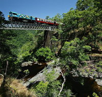 Kuranda Day TourTKS- Budget 930 - Gold Coast Attractions