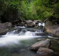 Waterfall and Wallabies Sighting Tour - Gold Coast Attractions