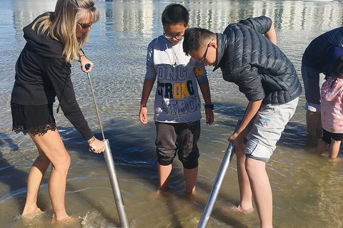 Gold Coast City Sights Tour From Gold Coast - Gold Coast Attractions 5