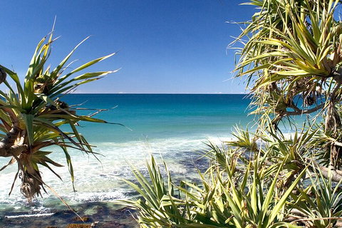 Gold Coast City Sights Tour From Gold Coast - Gold Coast Attractions 1