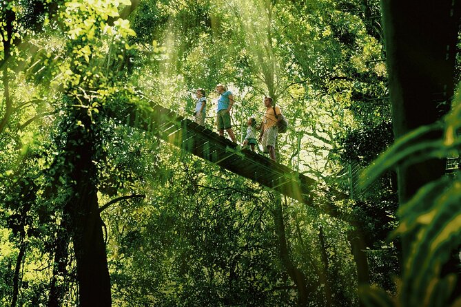 Gold Coast South QLD Gold Coast Attractions