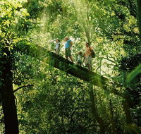 OReillys Rainforest Retreat and Winery Day Tour from Nerang - Gold Coast Attractions